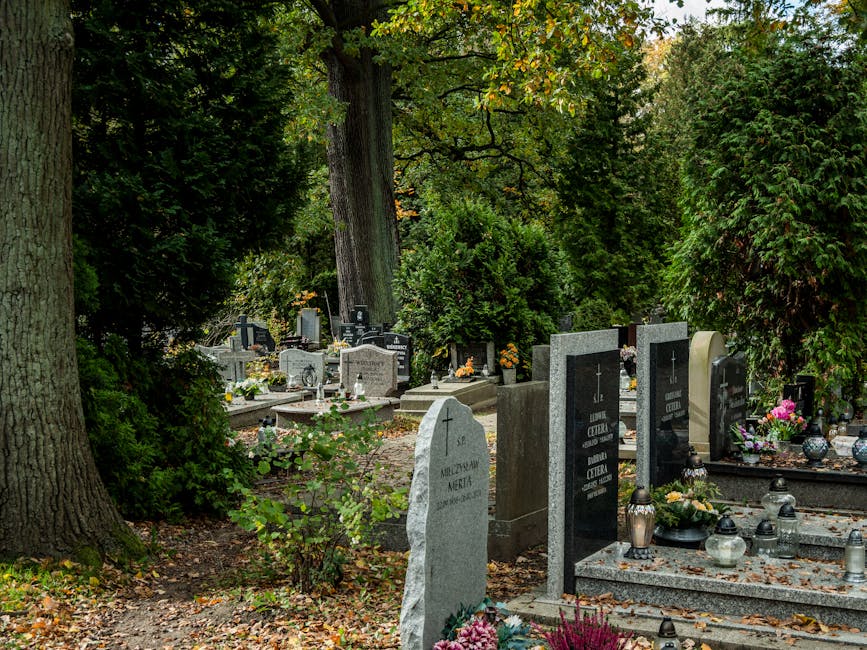 A peaceful cemetery scene featuring a variety of tombstones arranged amidst lush green trees and bushes. The headstones are made of granite and marble, with some inscribed with names and dates, while