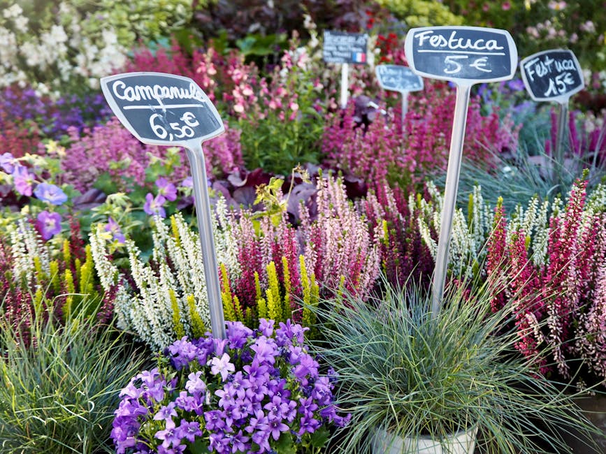 A vibrant flower stall displaying a variety of colorful plants and flowers with small chalkboard signs indicating prices, including purple petunias, pink and white heathers, and various green foliage.