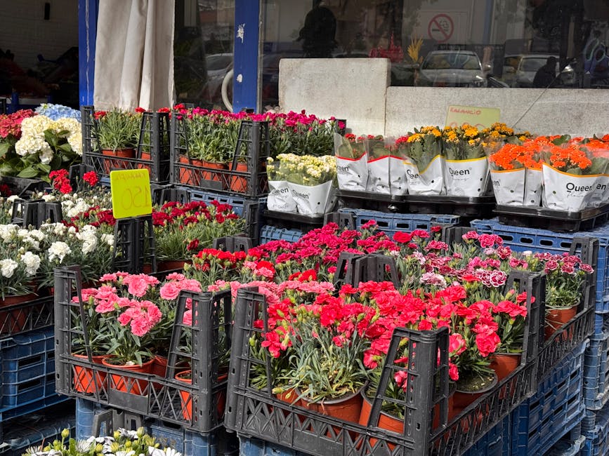A display of potted flowering plants arranged in black plastic crates outside a shop window, featuring pink, white, yellow, orange, and red blooms. The flowers, including carnations and chrysanthemums