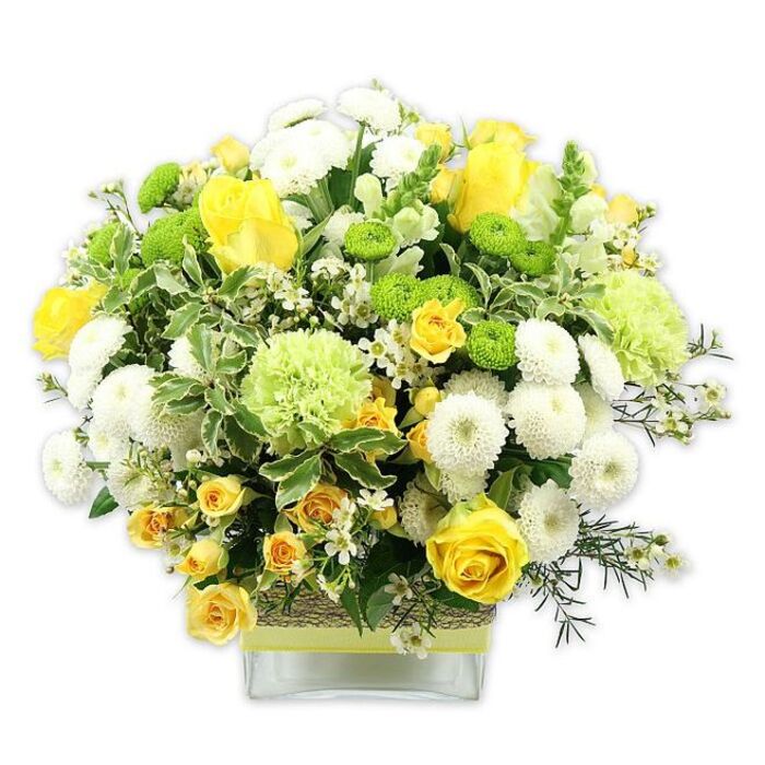 A vibrant, carefully structured floral display in a low, square clear glass vase is shown against a bright white backdrop, highlighting every nuance of its yellow, white, and green palette. At the centre, rich yellow roses bloom in layered spirals, some just opening, others fully unfurled, giving a sense of abundance and optimism reminiscent of a sunny morning over Greenwich's Cutty Sark Gardens. These are interlaced with clusters of yellow spray roses, their smaller heads forming a soft halo of colour that fills in the spaces and adds visual rhythm. White pompom chrysanthemums create round, cushion-like forms, densely packed petals lending a plush texture that contrasts beautifully with the sleek rose petals. Punctuating the design are vivid lime green button chrysanthemums, tiny globes that stand out like beads of colour, while larger, paler green blooms with gently ruffled edges suggest green carnations or specialty chrysanthemums, expanding the green spectrum and giving depth. Around the blooms, lush foliage spills outward: broad, variegated leaves with creamy white margins, glossy deep green leaves, and fine, twiggy filler stems, all echoing the layered greenery of nearby Greenwich Park. Delicate, star-shaped white filler flowers are sprinkled across the bouquet, softening transitions between the larger flowers. The clear glass vase reveals a neat grid of stems and is cinched at its midsection with a band of rustic woven fibre or bark, over which a lime green ribbon is wrapped, echoing the bright button mums. This arrangement radiates joy and freshness, perfectly suited as a centerpiece for a family gathering in Greenwich, a cheerful birthday surprise, or a congratulatory gift that quietly says "celebrate this moment" to someone special nearby.